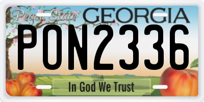 GA license plate PON2336