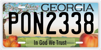GA license plate PON2338