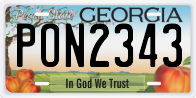 GA license plate PON2343
