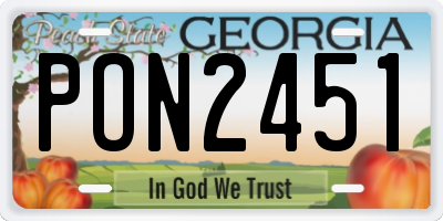 GA license plate PON2451
