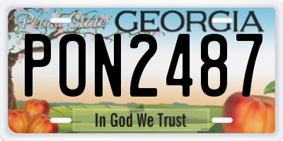 GA license plate PON2487