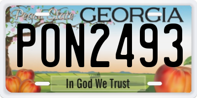GA license plate PON2493