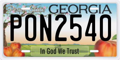 GA license plate PON2540