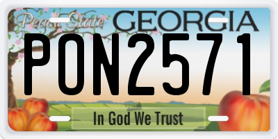 GA license plate PON2571
