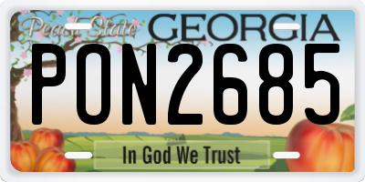 GA license plate PON2685