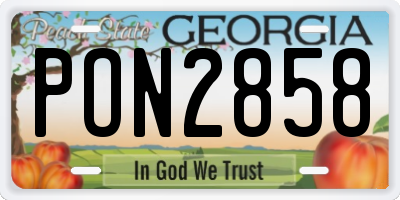 GA license plate PON2858