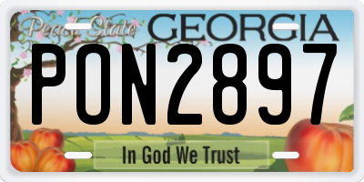 GA license plate PON2897