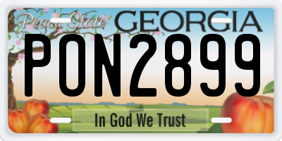 GA license plate PON2899