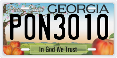 GA license plate PON3010