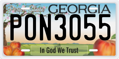 GA license plate PON3055
