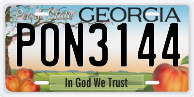 GA license plate PON3144