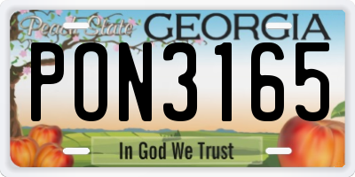 GA license plate PON3165