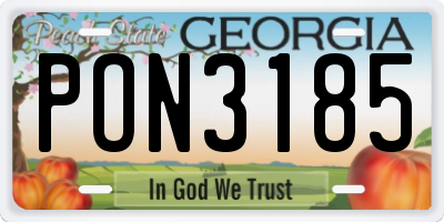 GA license plate PON3185