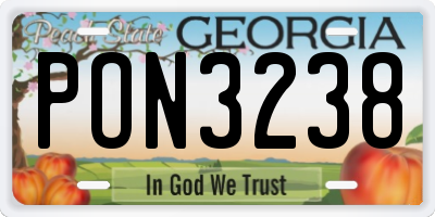 GA license plate PON3238