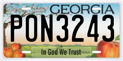 GA license plate PON3243
