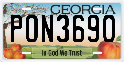 GA license plate PON3690