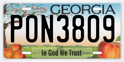 GA license plate PON3809