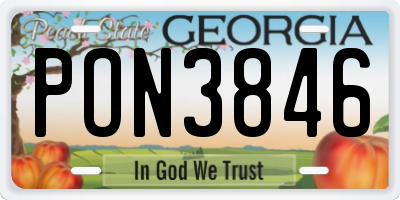 GA license plate PON3846