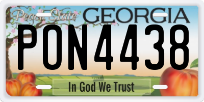 GA license plate PON4438