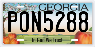 GA license plate PON5288