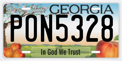 GA license plate PON5328
