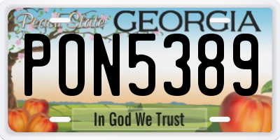 GA license plate PON5389