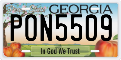 GA license plate PON5509