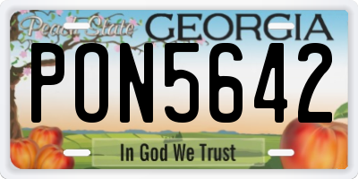 GA license plate PON5642