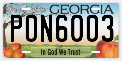 GA license plate PON6003