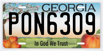 GA license plate PON6309