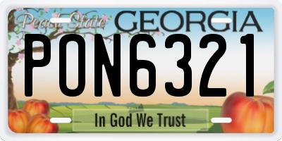 GA license plate PON6321