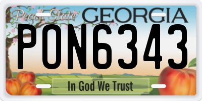 GA license plate PON6343