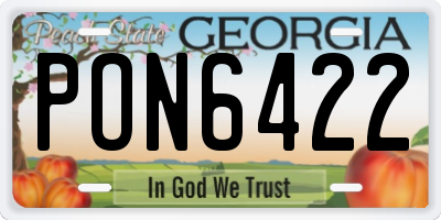 GA license plate PON6422
