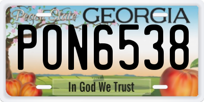 GA license plate PON6538