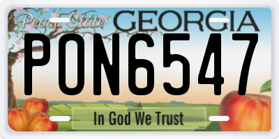 GA license plate PON6547