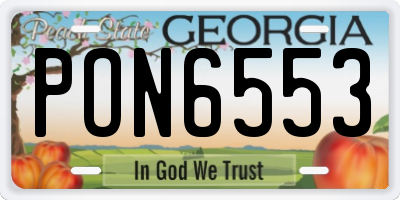 GA license plate PON6553
