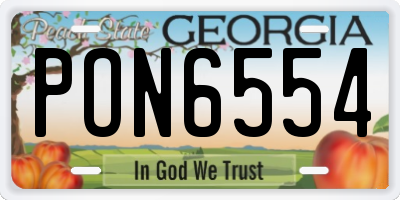 GA license plate PON6554