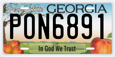 GA license plate PON6891