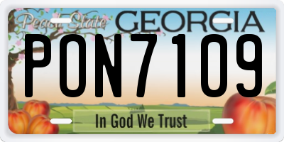 GA license plate PON7109