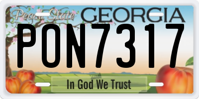 GA license plate PON7317