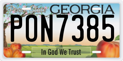 GA license plate PON7385