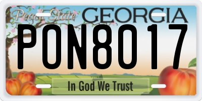 GA license plate PON8017