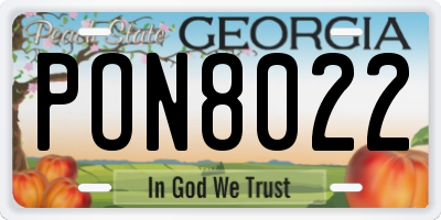 GA license plate PON8022