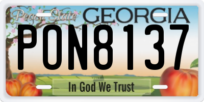 GA license plate PON8137