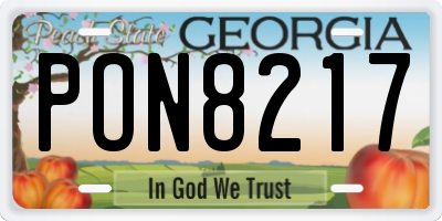 GA license plate PON8217