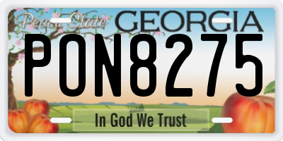 GA license plate PON8275