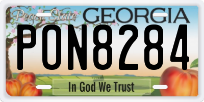 GA license plate PON8284