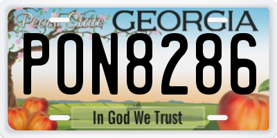 GA license plate PON8286