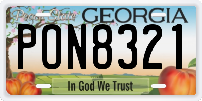GA license plate PON8321