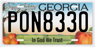 GA license plate PON8330